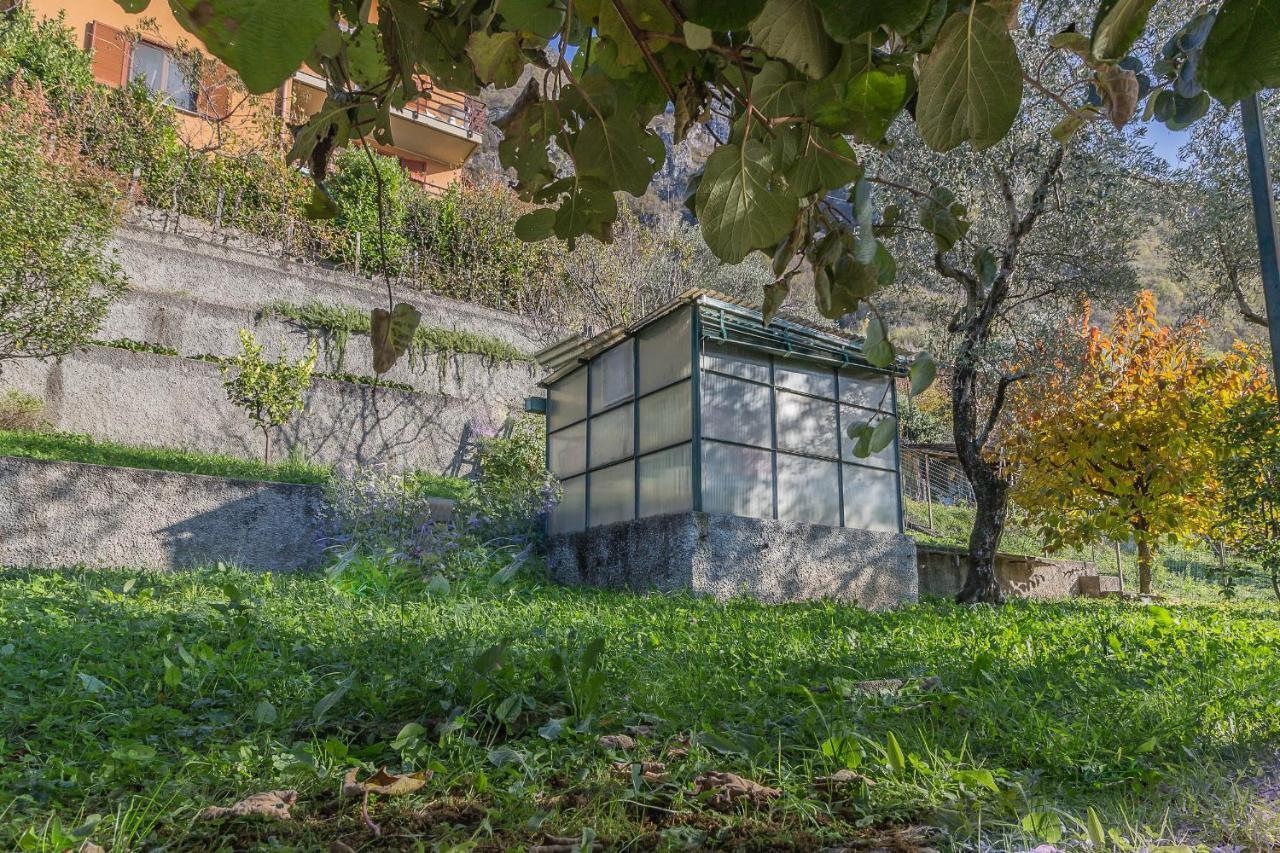 La Maison Du Lac Варена Екстериор снимка